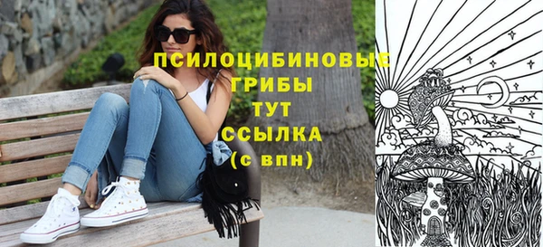дурь Вяземский