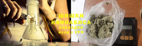 дурь Вяземский