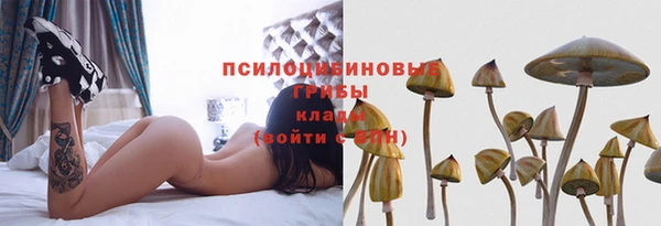 дурь Вяземский