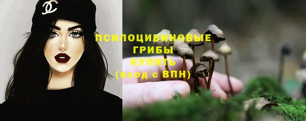 дурь Вяземский