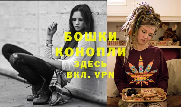 дурь Вяземский