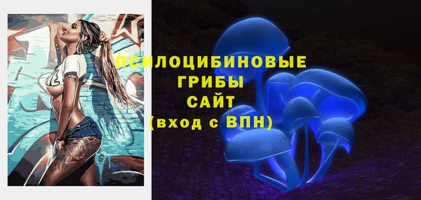 ALPHA-PVP Горнозаводск