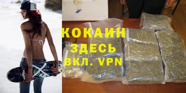 гидропоника Горняк