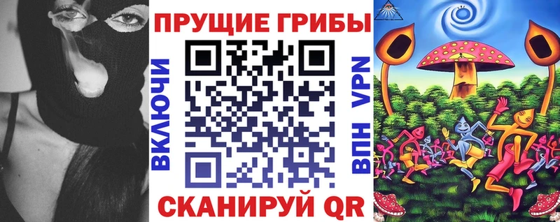 купить наркотик Черемхово Галлюциногенные грибы Psilocybe